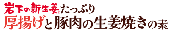 岩下の新生姜たっぷり 厚揚げと豚肉の生姜焼きの素