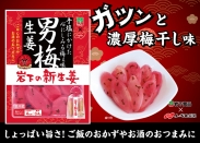 画像：ノーベル製菓×岩下食品『男梅 岩下の新生姜』