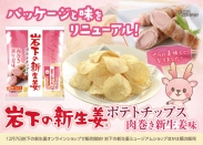 『岩下の新生姜ポテトチップス 肉巻き新生姜味』をリニューアル！岩下の新生姜オンラインショップで12月7日販売開始。