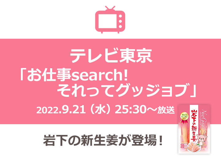 画像：テレビ東京『お仕事search！それってグッジョブ』に岩下の新生姜が登場