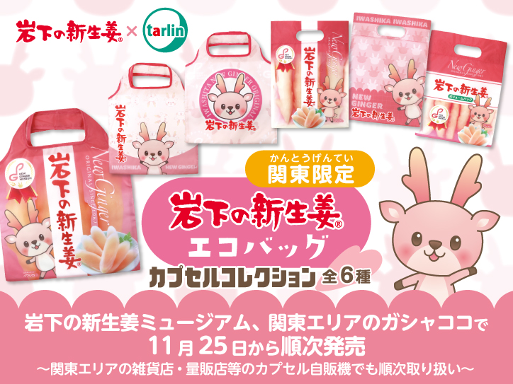 シグネチャーコレクション デュークカブーン 新品未開封 輸入品 シグネチャーコレクション デュークカブーン トイ・ストーリー - トイ