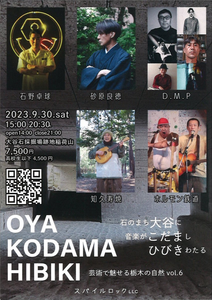 画像：「OYA KODAMA HIBIKI~芸術で見せる栃木の自然vol.6」ポスター