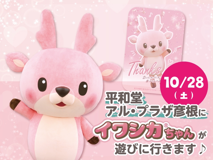 img-2495-231028-iwashika-