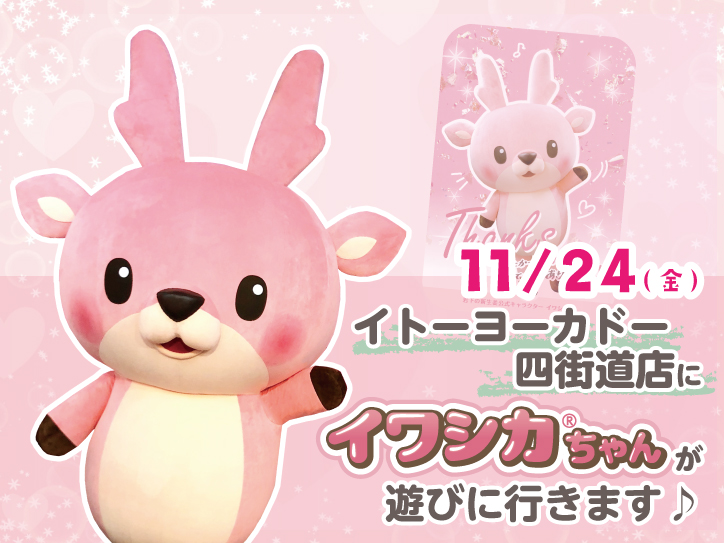 img-2563-231124-itoyokado-