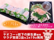 画像：ヤオコーで岩下の新生姜使用サラダ惣菜2品を2月19日発売