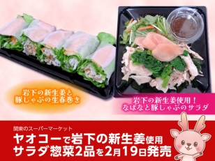 画像：ヤオコーで岩下の新生姜使用サラダ惣菜2品を2月19日発売