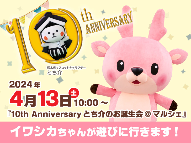 4月13日】イワシカちゃんが『10th Anniversary とち介のお誕生会