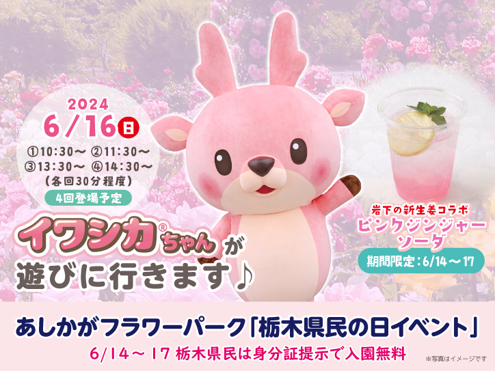 6月16日】イワシカちゃんが花と光の楽園「あしかがフラワーパーク」に