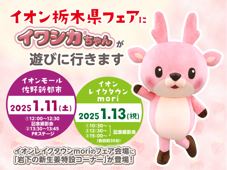 イワシカちゃんが1月11日にイオンモール佐野新都市、1月13日にイオン