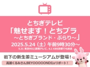 画像：とちぎテレビ『魅せます！とちブラ～とちぎブランド・ぶらり～』