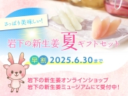 画像：岩下の新生姜 夏ギフト
