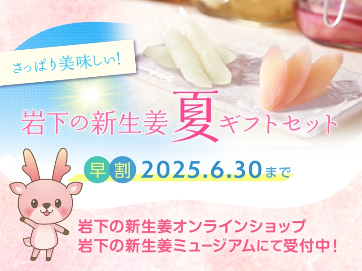 画像：岩下の新生姜 夏ギフト
