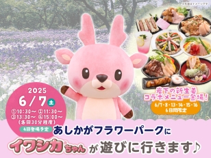 画像：あしかがフラワーパーク