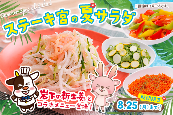 画像：ステーキ宮の夏サラダ