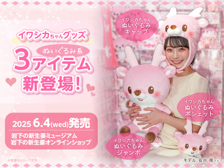 画像：イワシカちゃんぬいぐるみ系3アイテム
