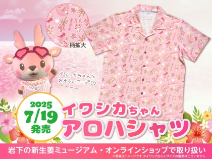 Peel the Apple(ぴるあぽ) DVD 2点セット 2025年最新】peel the apple dvdの人気アイテム - メルカリ