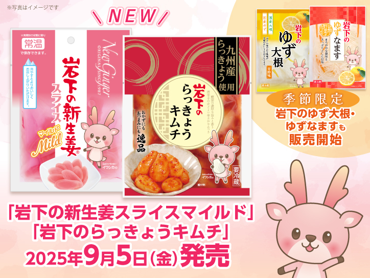 あちゃみ様 種生姜(200g以上)15kg 4月 しょうが 【 近江生姜 】 生姜種 種芋 300g入り | 農業屋.com