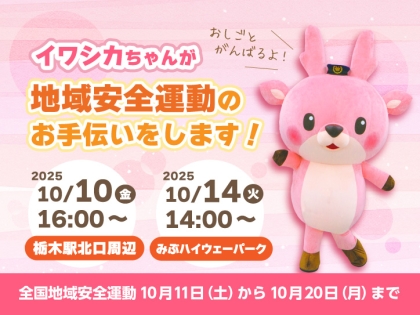 SAKANAMON THE MOVIE サカナモンはなぜ売れないのか DVD 3220c59f4736170d.jpg