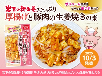 生姜焼きページ 豚生姜焼き弁当 – ORTHO Deli