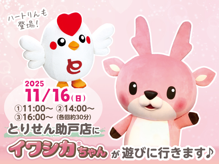 11月16日】イワシカちゃんがとりせん助戸店（足利市）におでかけ