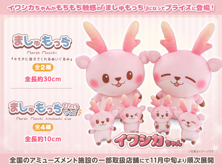 ▒しあさま 専用▒ホイップわんこ ピンク▒ イワシカちゃんがプライズに！「ましゅもっち」「ましゅもっちひとくち