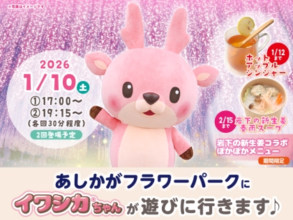 4月17日開催】とりせん佐野西店にイワシカちゃんが遊びに行きます