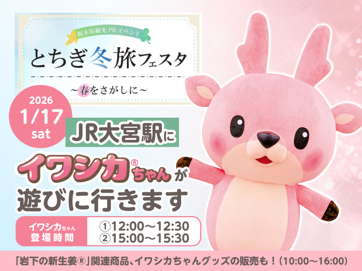 img-3686-260117-iwashika-event