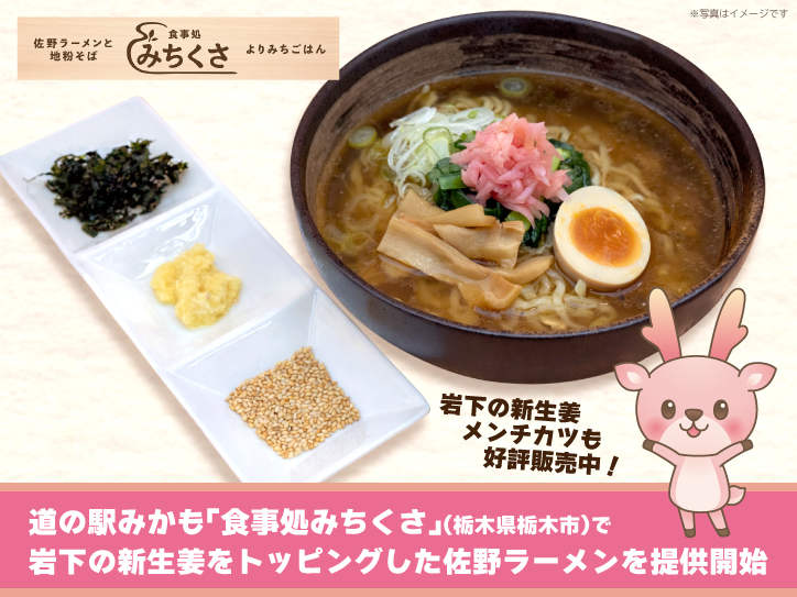 Sheba とろ〜り　30袋（mikan農園さん）専用 乳酸菌1,500億個とザクロ果汁 お米の醗酵飲料 ANP71ザクロ | 金沢発の