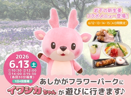 岩下の新生姜×和style.cafeコラボ ニーハイソックス」 10月30日発売