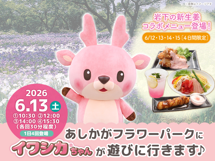 Plain タグ付籐製バスケット ノスタルジック花柄・ウサギ付きエモい・岩田産業 6月13日】イワシカちゃんが花と光の楽園「あしかがフラワーパーク」に